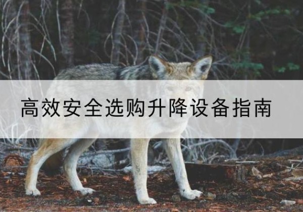 隰县升降货梯厂家推荐-*安全选购升降设备指南