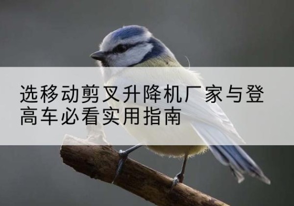 隰县电动升降机厂家-选移动剪叉升降机厂家与登高车必看实用指南