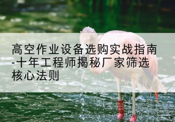隰县剪叉式升降机厂家-高空作业设备选购实战指南-十年工程师揭秘厂家筛选核心法则